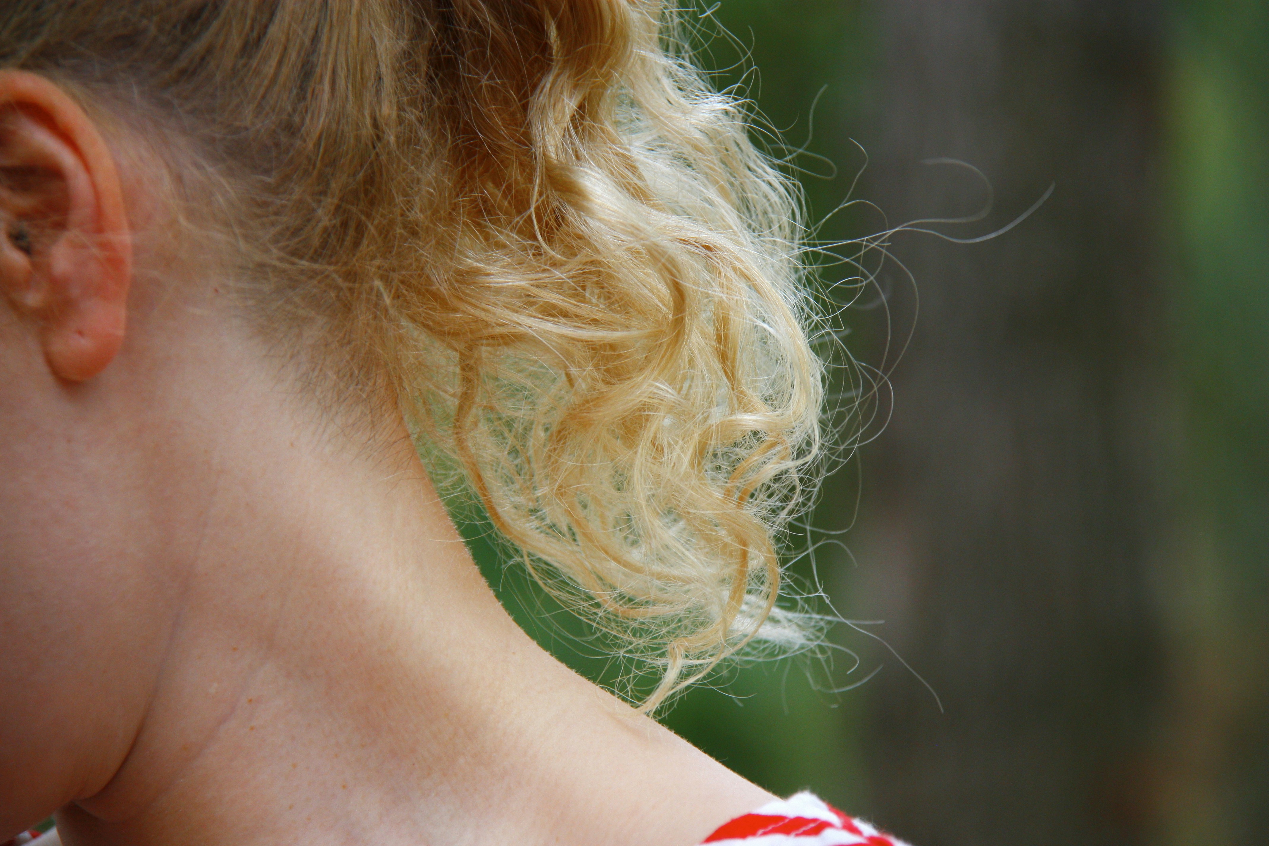 Free Unsplash photo from Samantha Reynolds