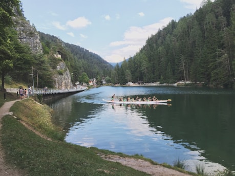 Family paddling a canoe on a serene lake surrounded by lush green trees.