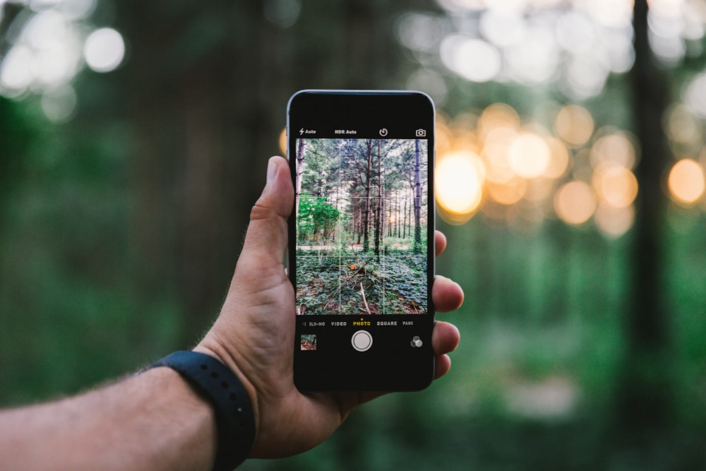 selective focus photo of person taking photo of trees during daytime