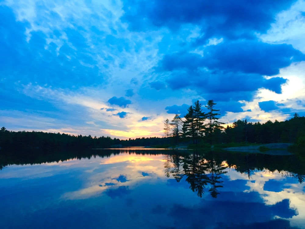 body of water surrounded by trees under cloudy sky during daytime