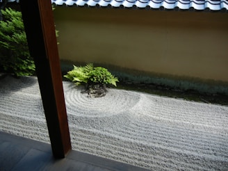 A peaceful zen garden with raked gravel and lush greenery under soft sunlight.