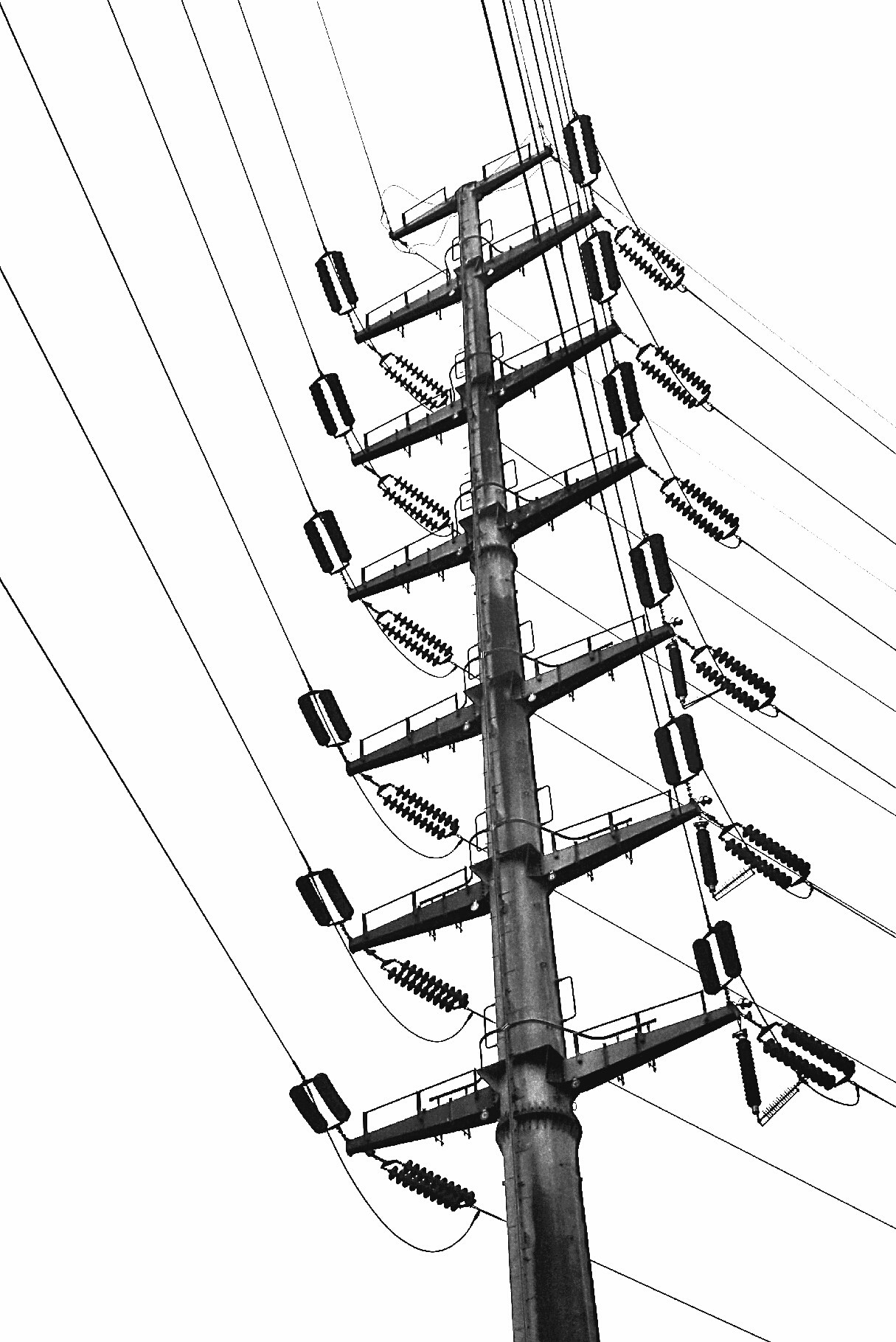 Free Unsplash photo from yucheng he