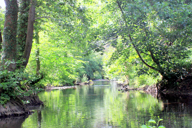 A peaceful riverside scene with gentle sunlight filtering through fresh green leaves.