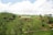 A lush green landscape with well-maintained tea plantations spread across rolling hills. Prominently displayed are large white letters spelling 'MACKWOODS' atop the hills. Scattered trees and patches of soil can be seen, under a bright blue sky with some fluffy clouds.