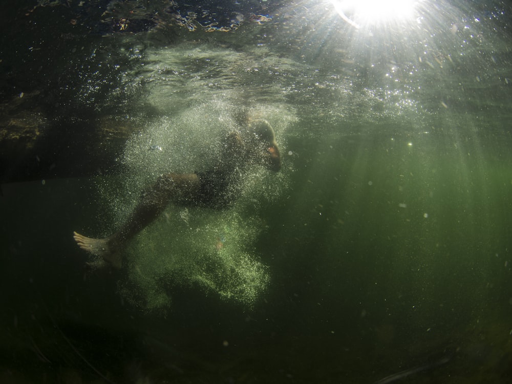 homme dans un plan d’eau