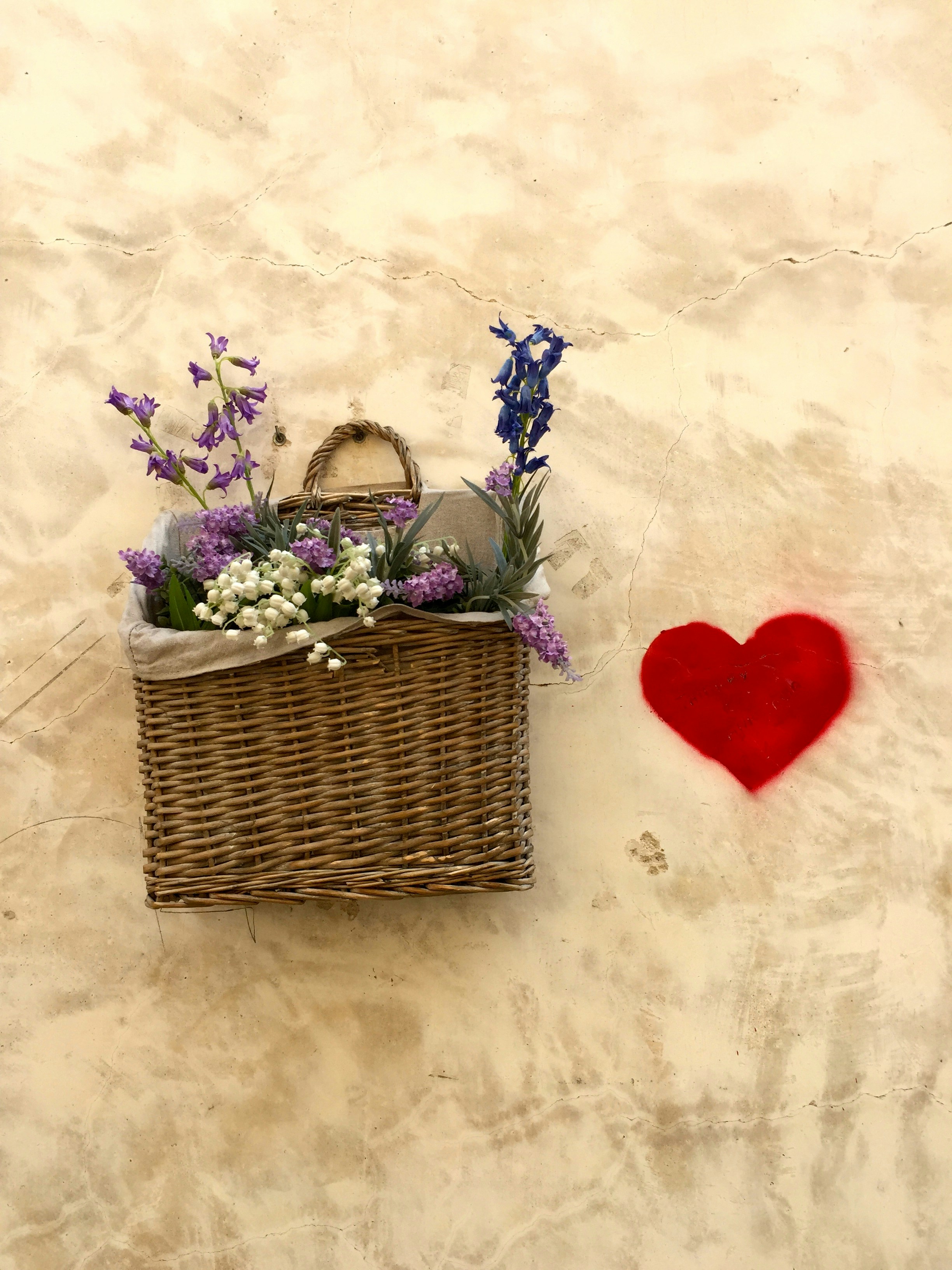 Free Unsplash photo from Sydney Hardiman