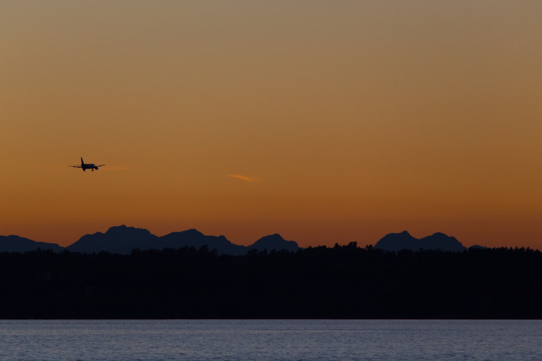 silhouette photo of airplane during sunset