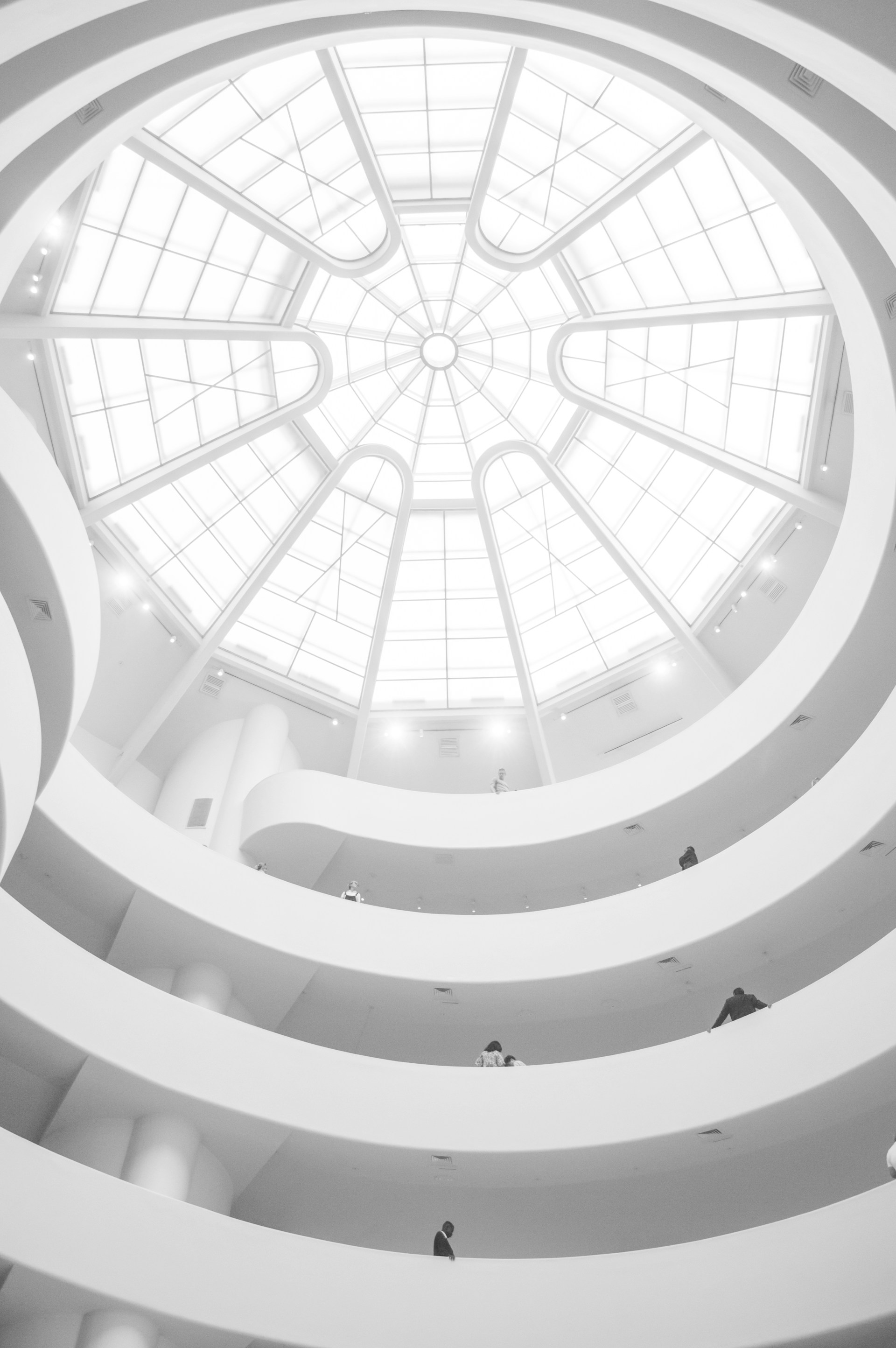 clear glass roof