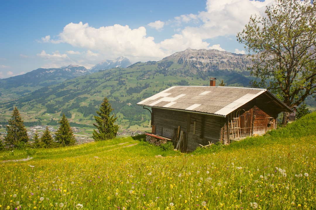 brown cabin surrounded by grass and trees,