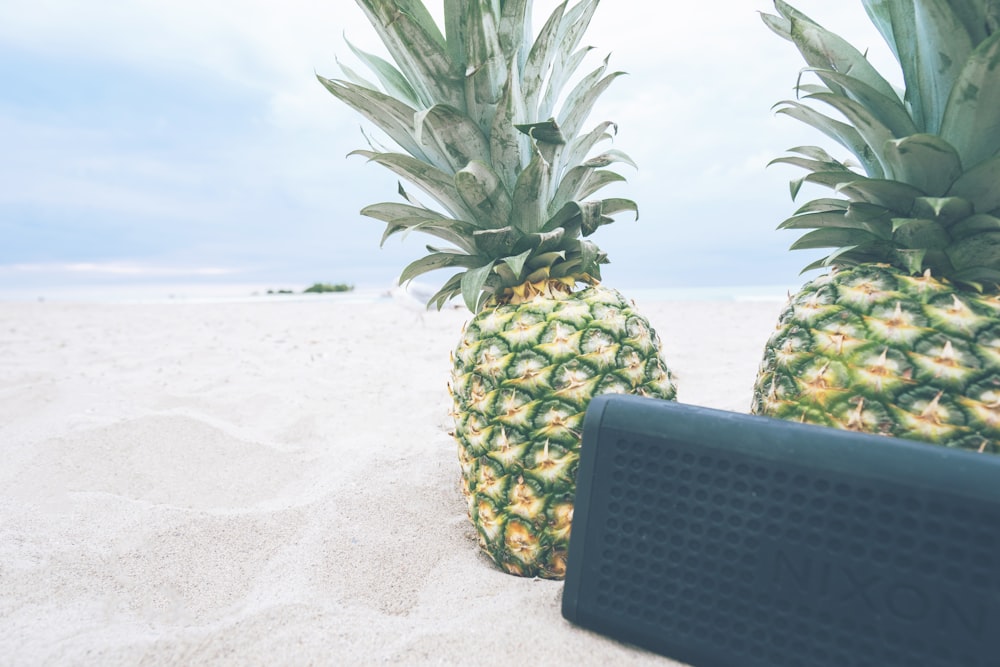 rectangular black Nixon portable Bluetooth speaker near two pineapples