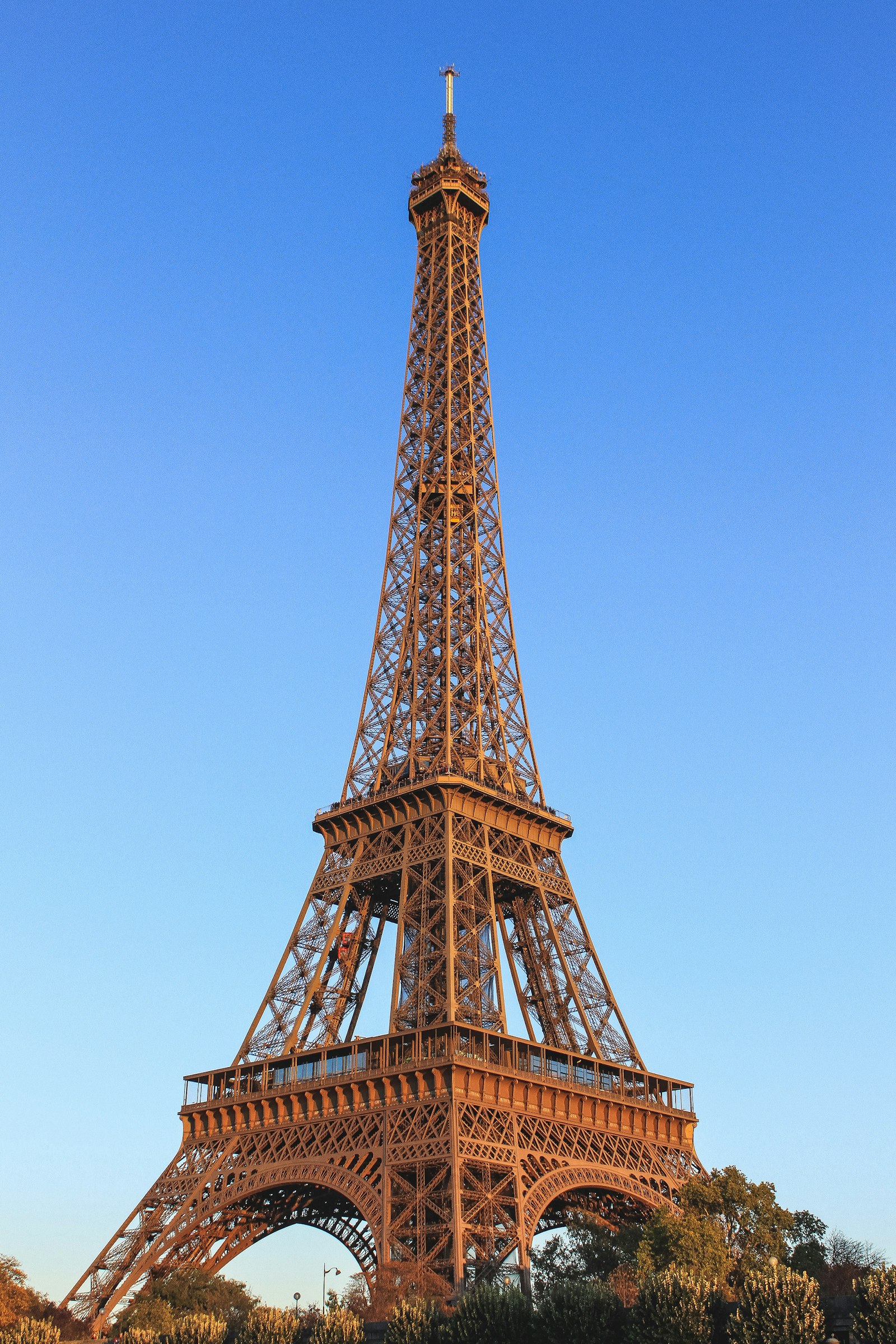 The Eiffel Tower rising over the rooftops of Paris