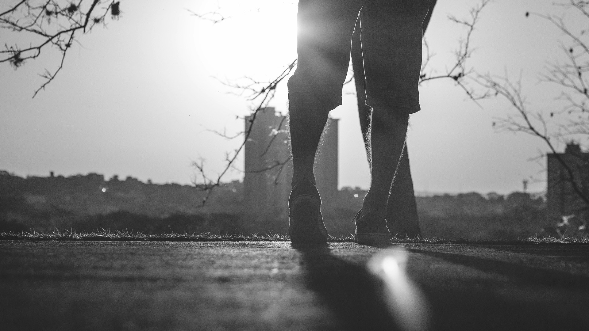 Free Unsplash photo from Pedro Gandra