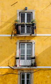 white wooden window panels and yellow painted wall
