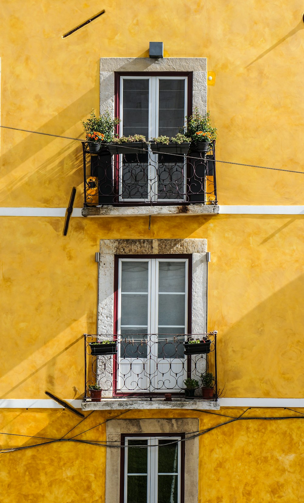 Panneaux de fenêtre en bois blanc et mur peint en jaune