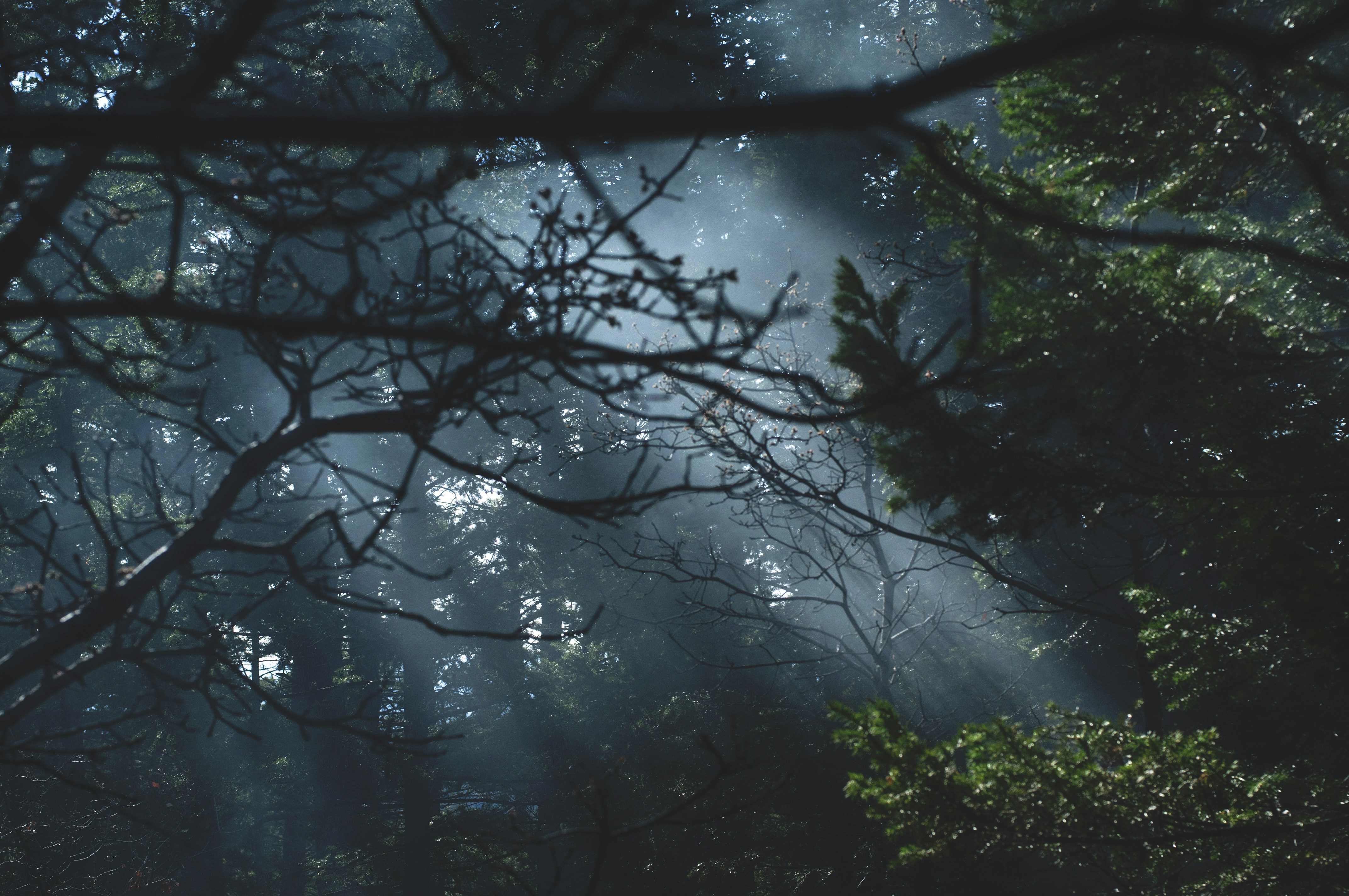 Free Unsplash photo from Bradi Spiller