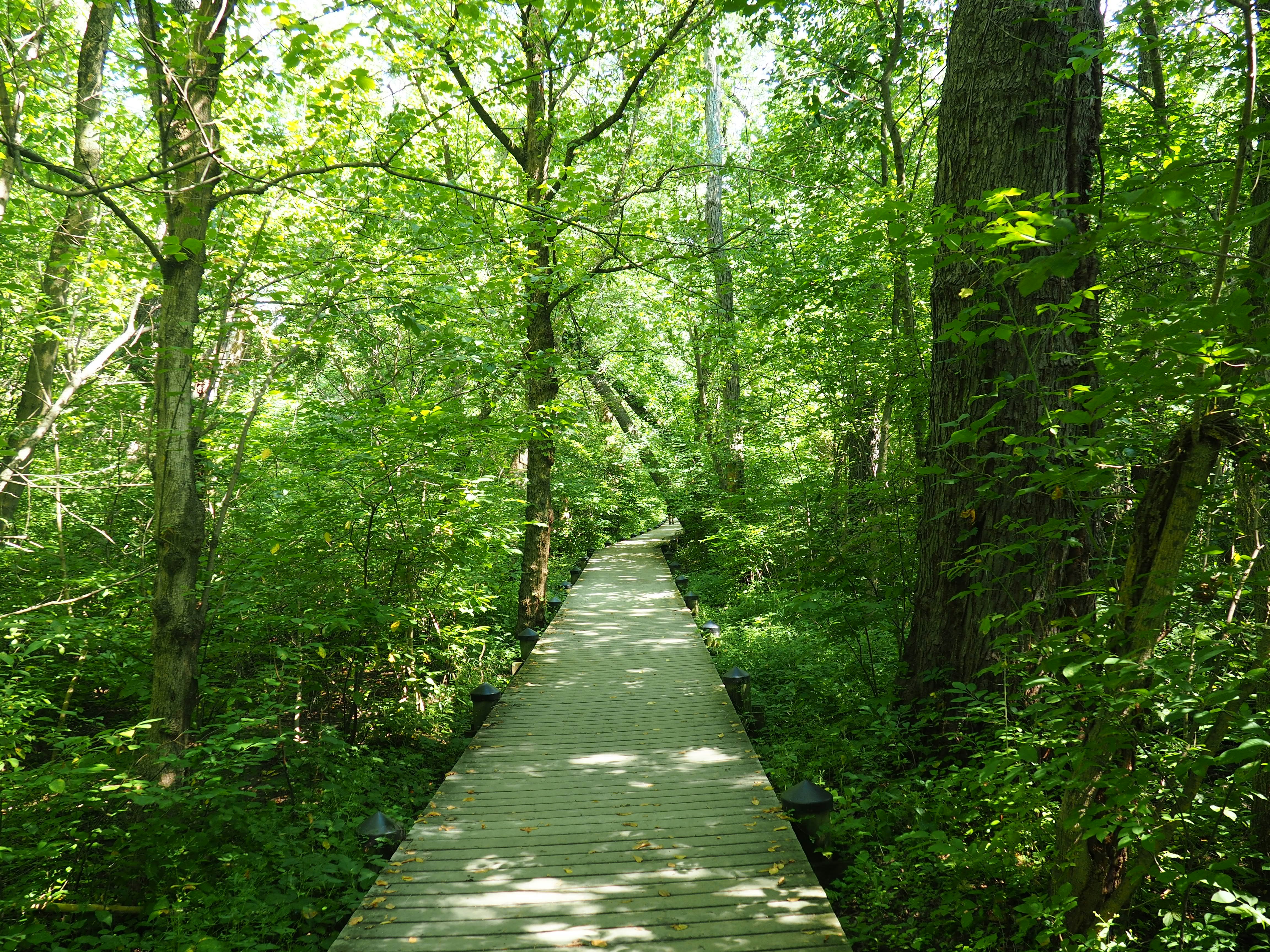 Free Unsplash photo from Devon Hernandez