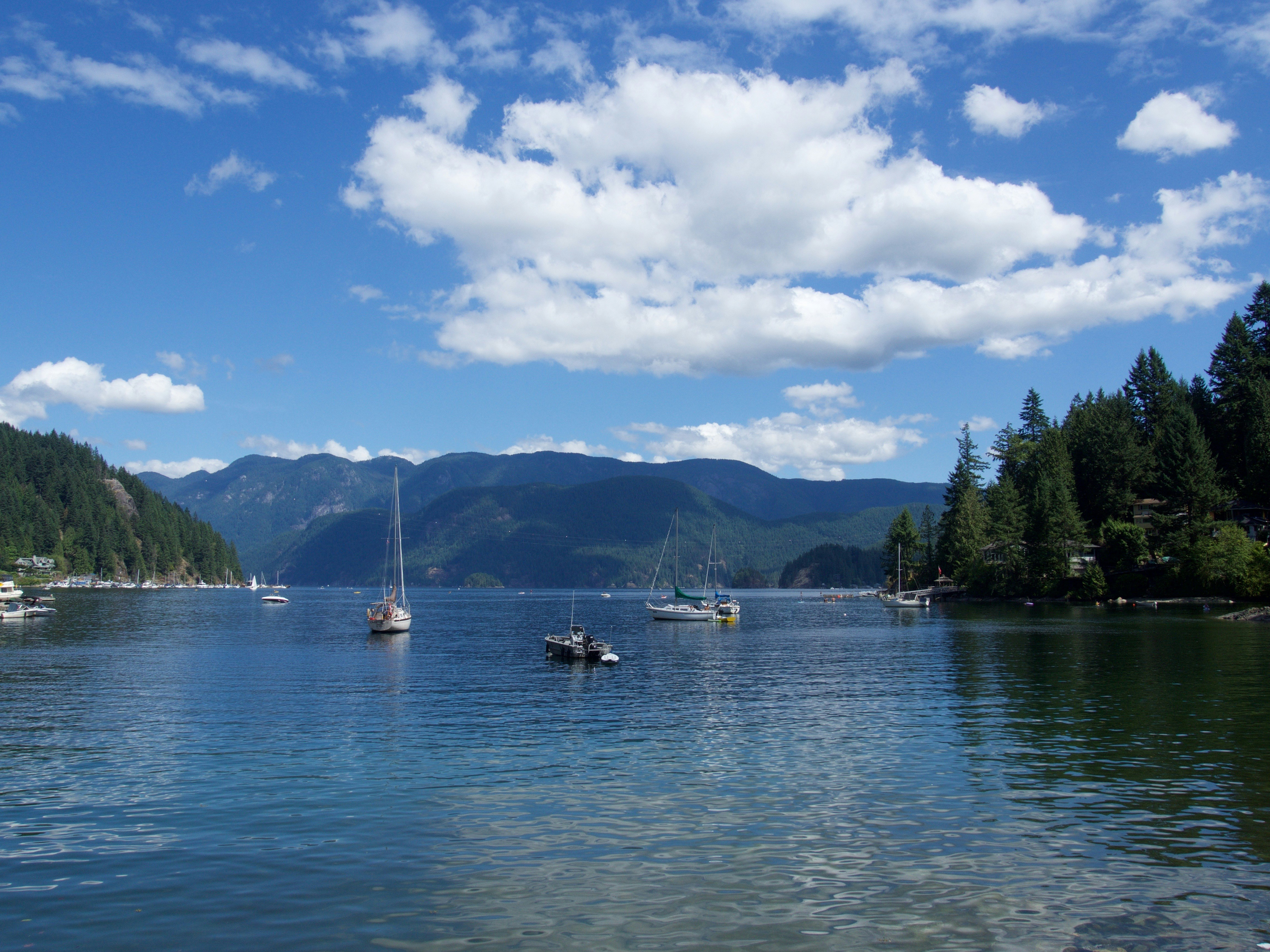 Free Unsplash photo from Devon Hernandez