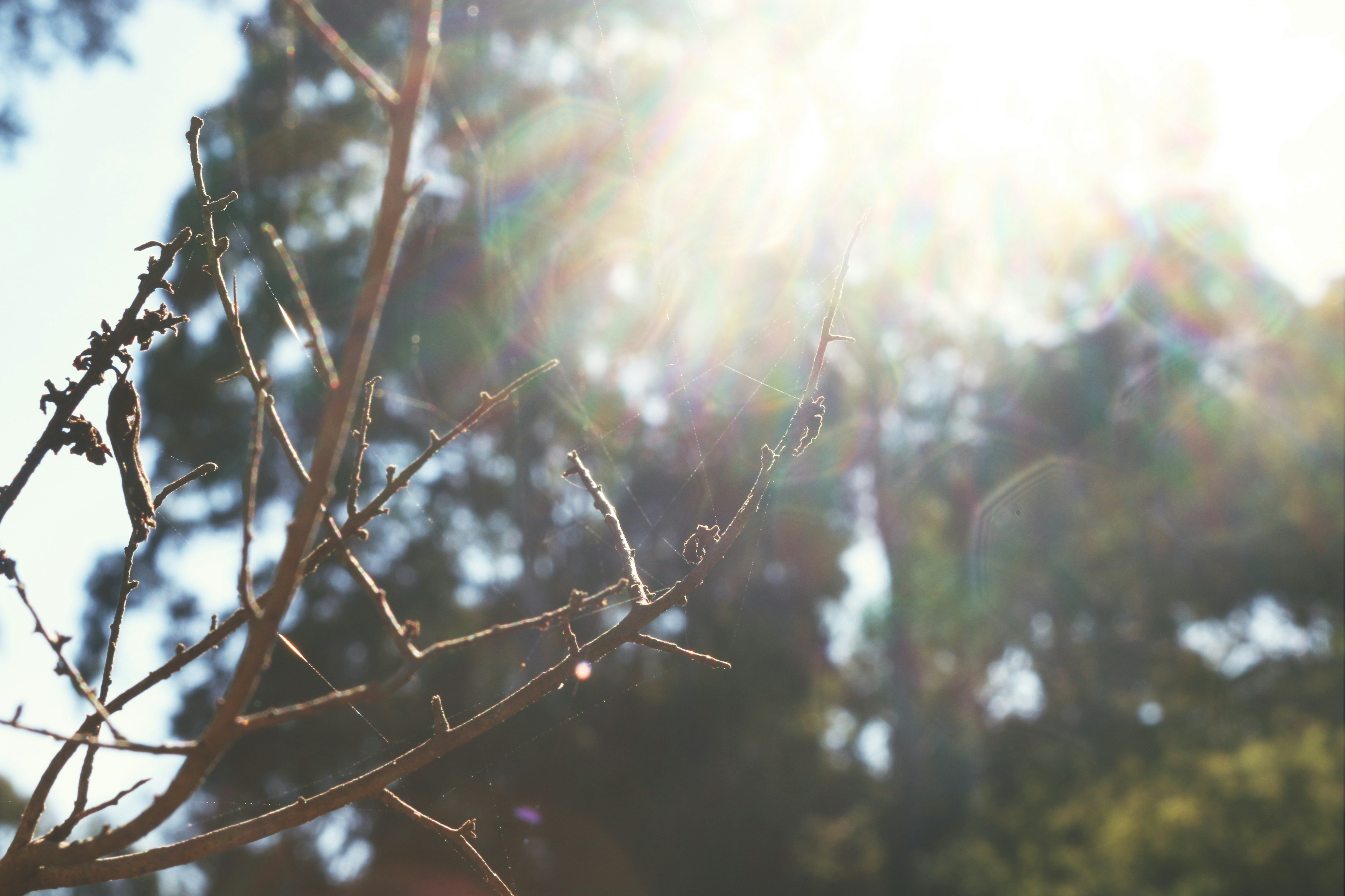 Free Unsplash photo from Michael D'Addazio