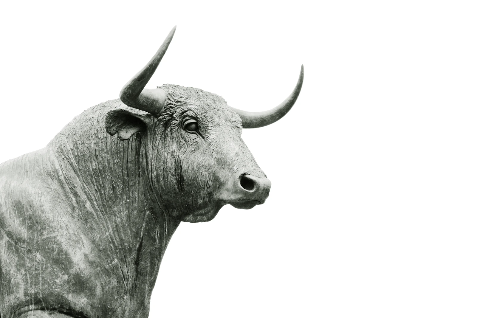 Bull market symbol representing professional VWAP trading strategies