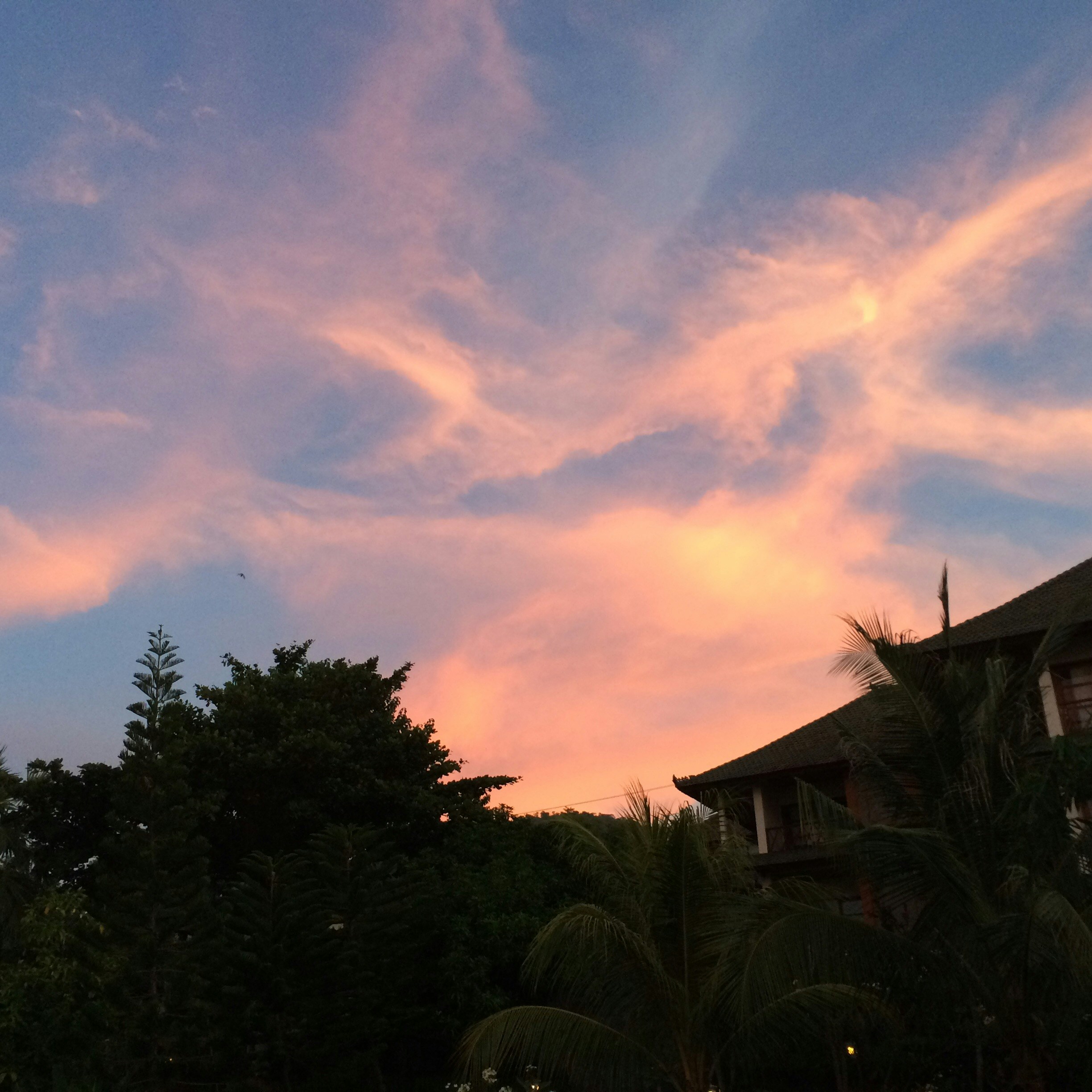 Free Unsplash photo from Ingrid Mailenzun