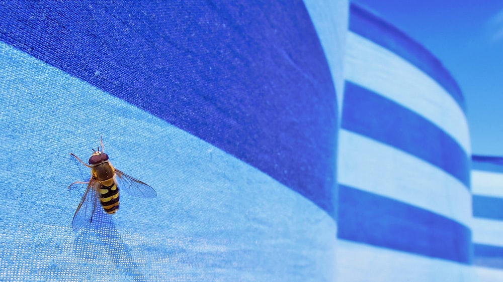 abeille sur le drapeau