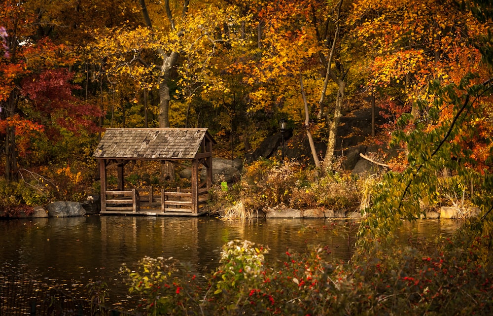 小屋のある湖の庭
