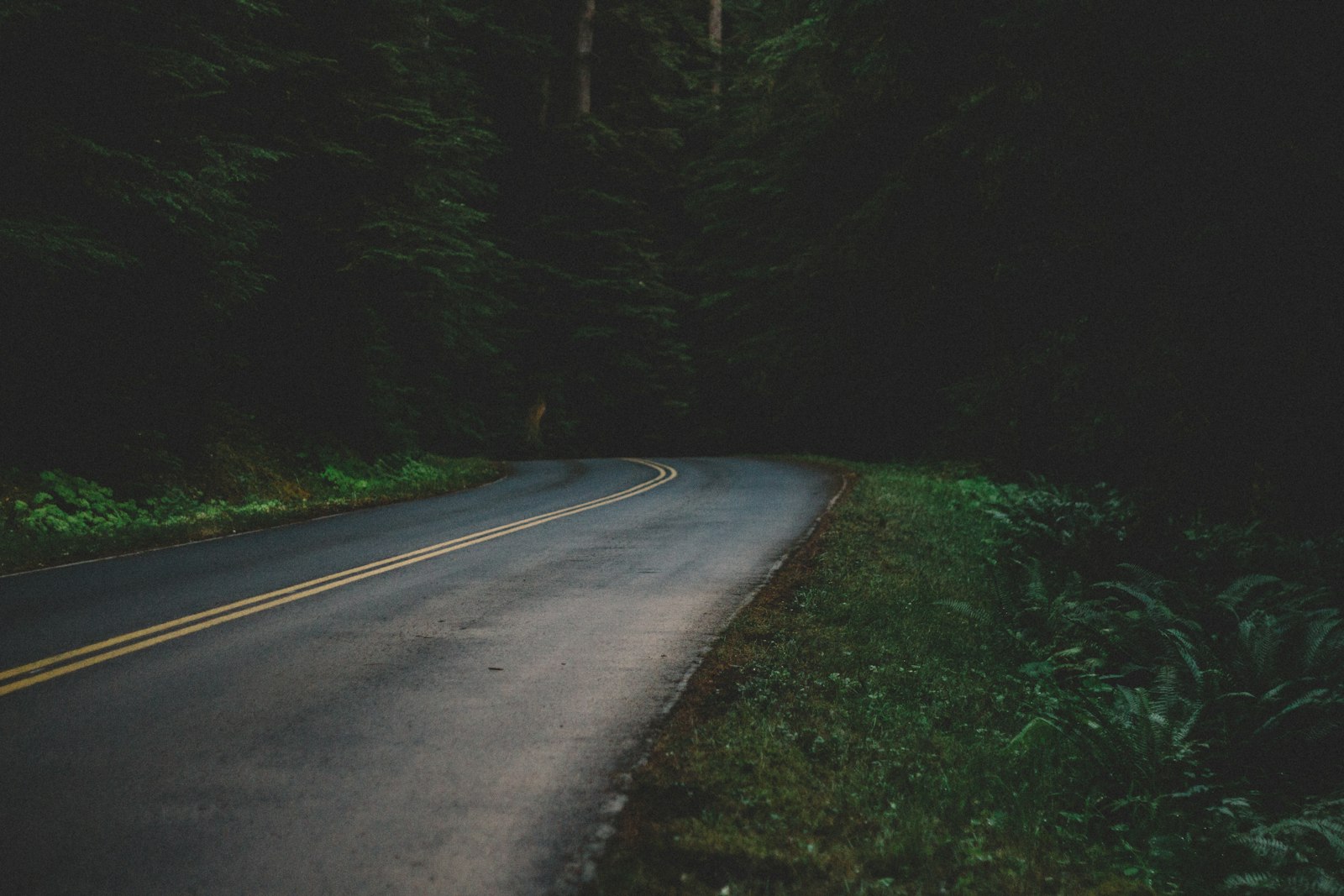 Canon EOS 7D + Canon EF 50mm F1.8 II sample photo. Empty concrete road between photography