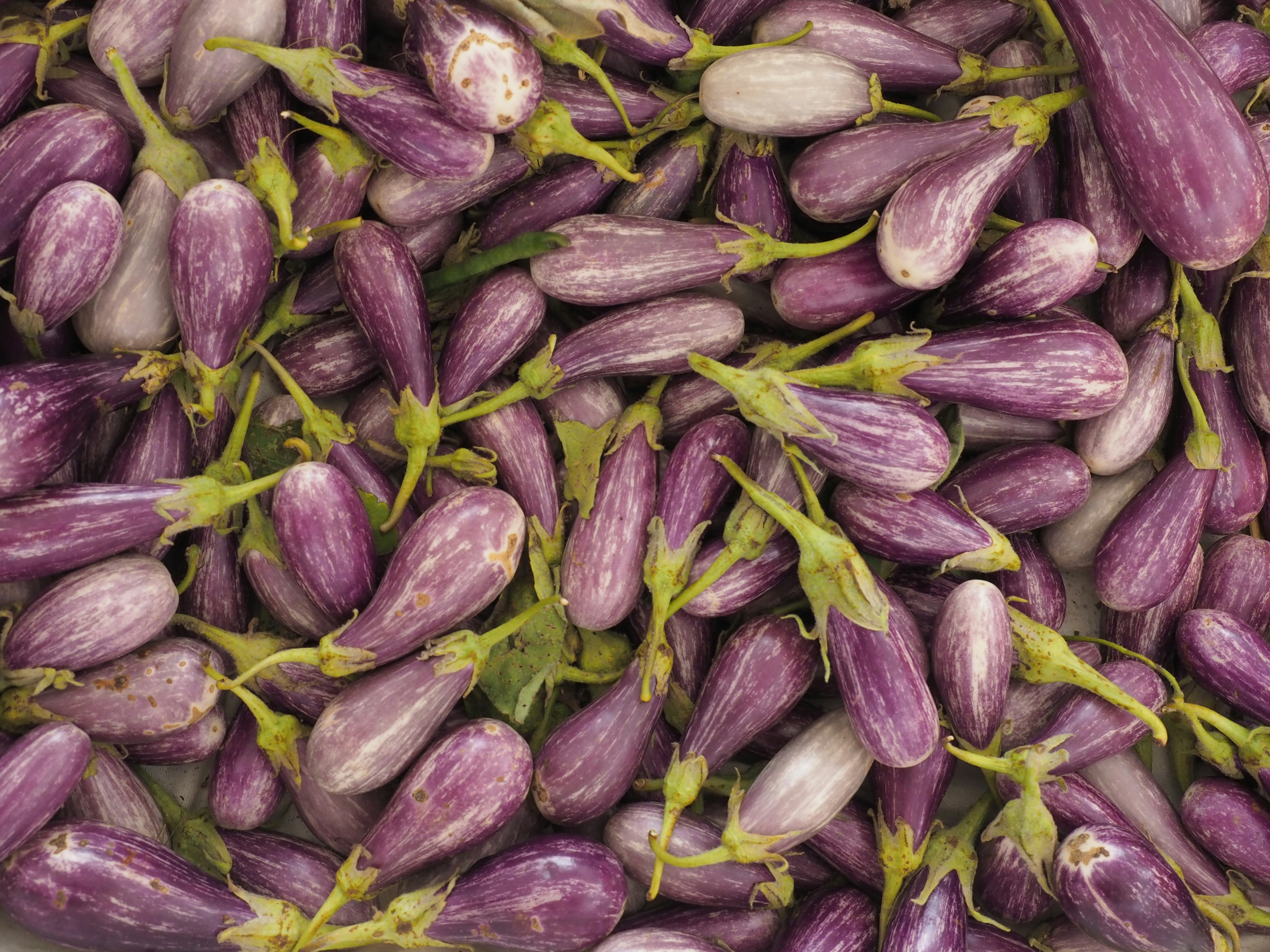 Free Unsplash photo from Ben Huffman