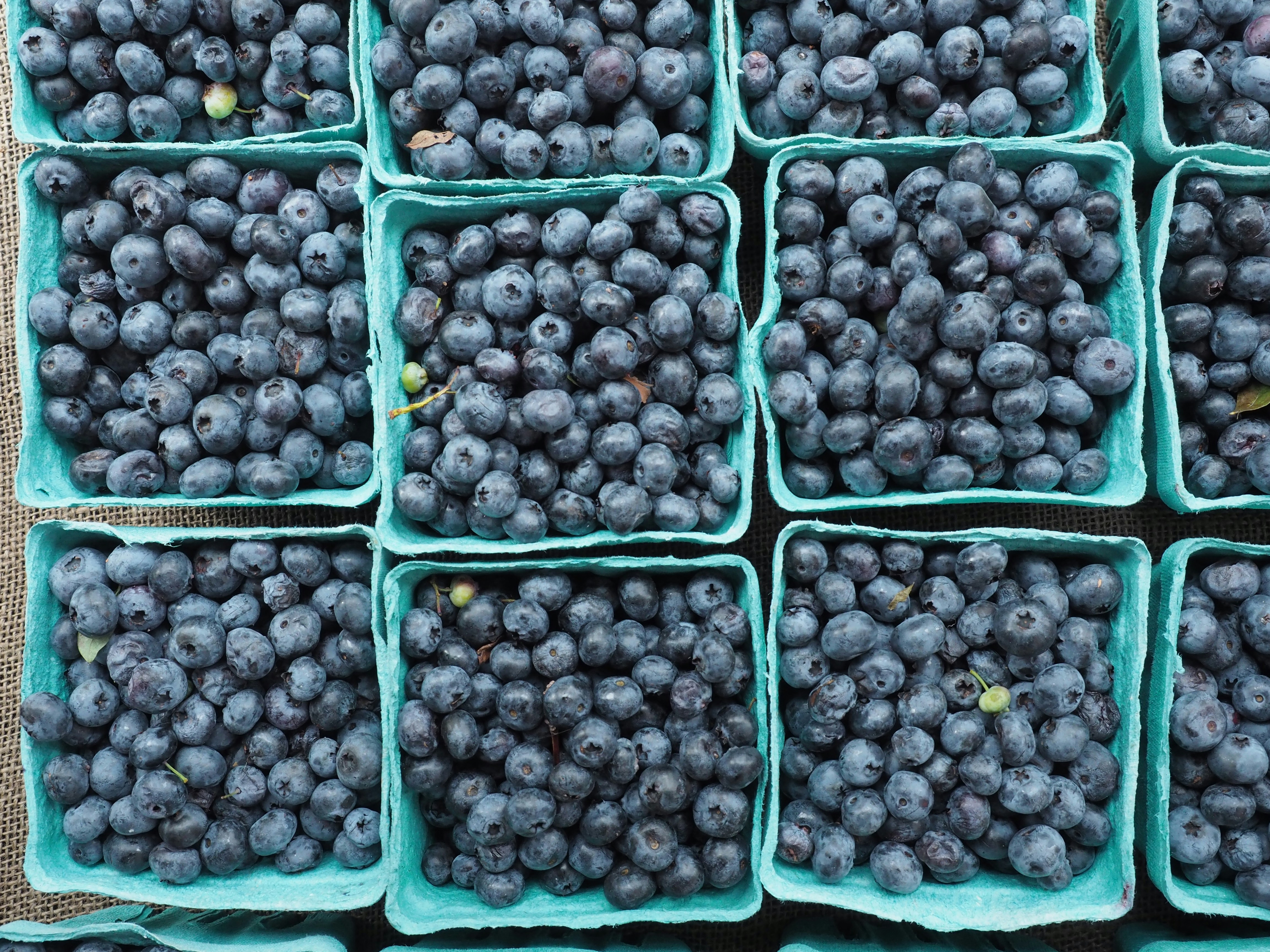 Free Unsplash photo from Ben Huffman