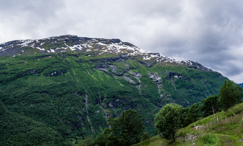 green plant covered mountain with ice caps under cloudy skies