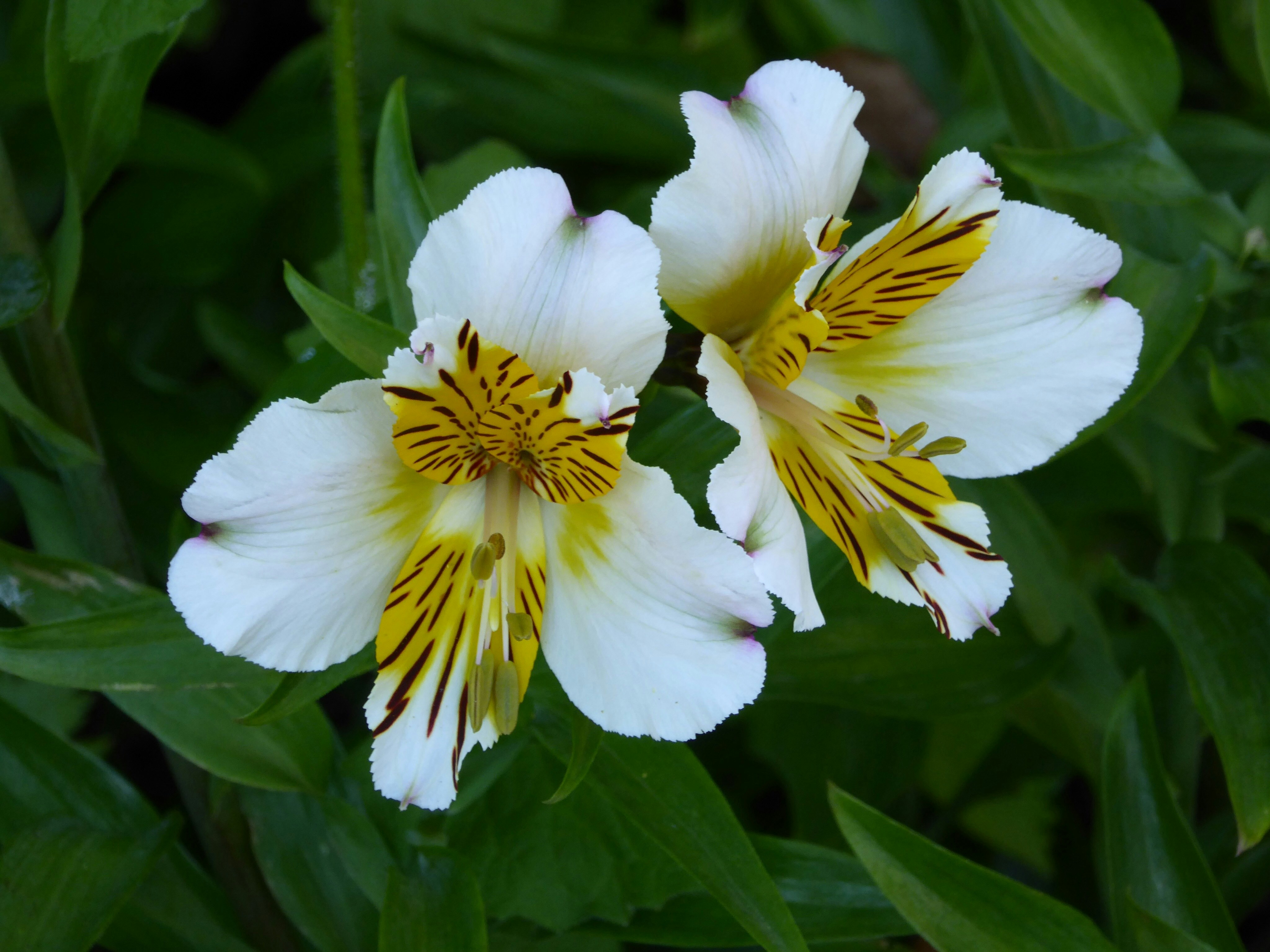 Free Unsplash photo from Kate Wileman