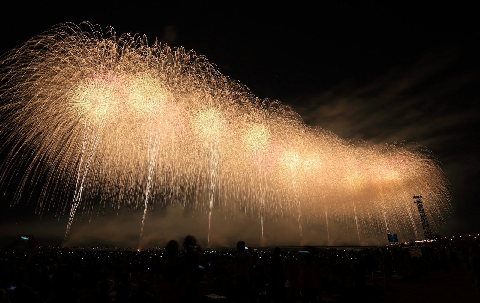 Canon EF 11-24mm F4L USM sample photo. Yellow fireworks above a photography