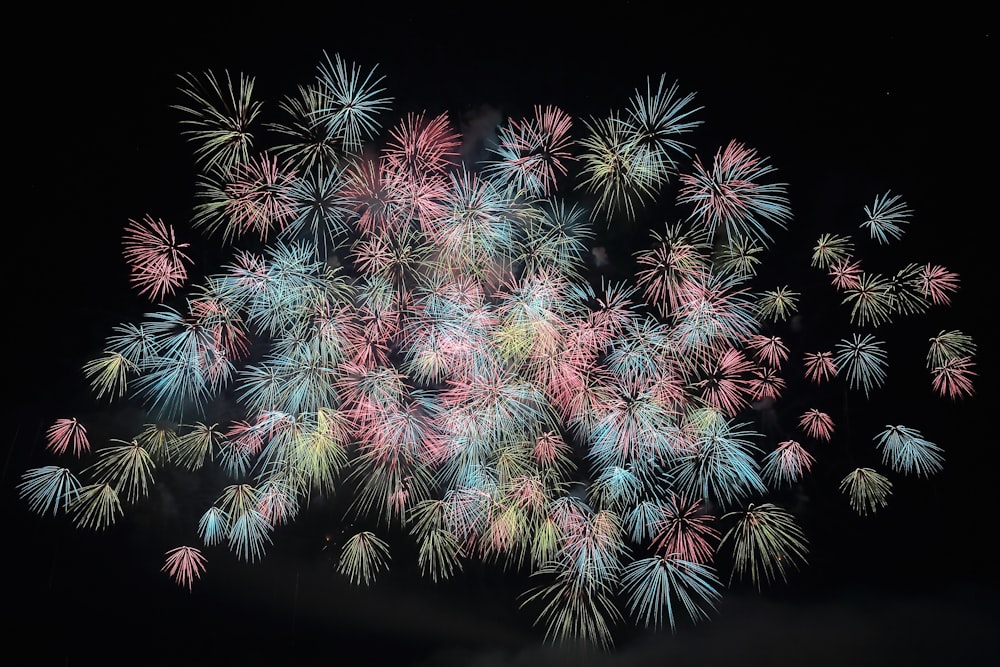 lote de fogos de artifício de cores variadas