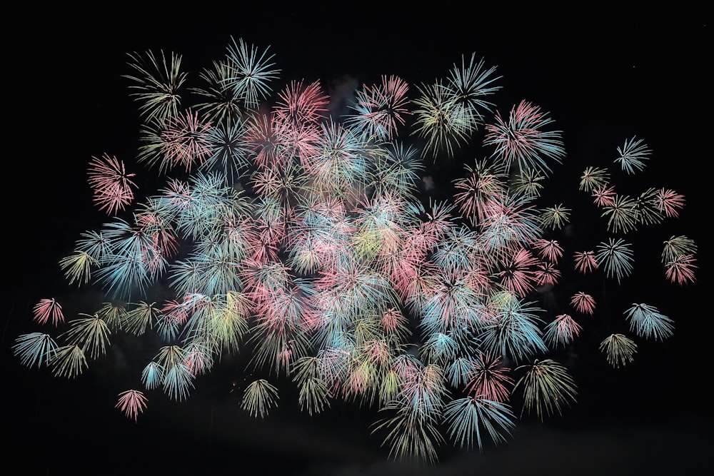 assorted-color fireworks lot