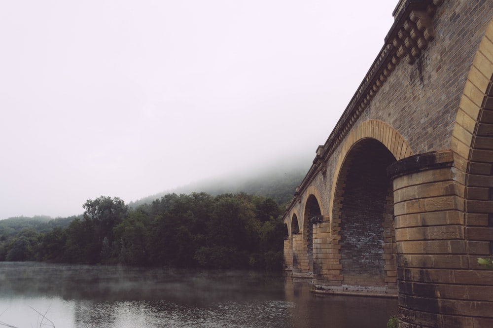 beige concrete bridge