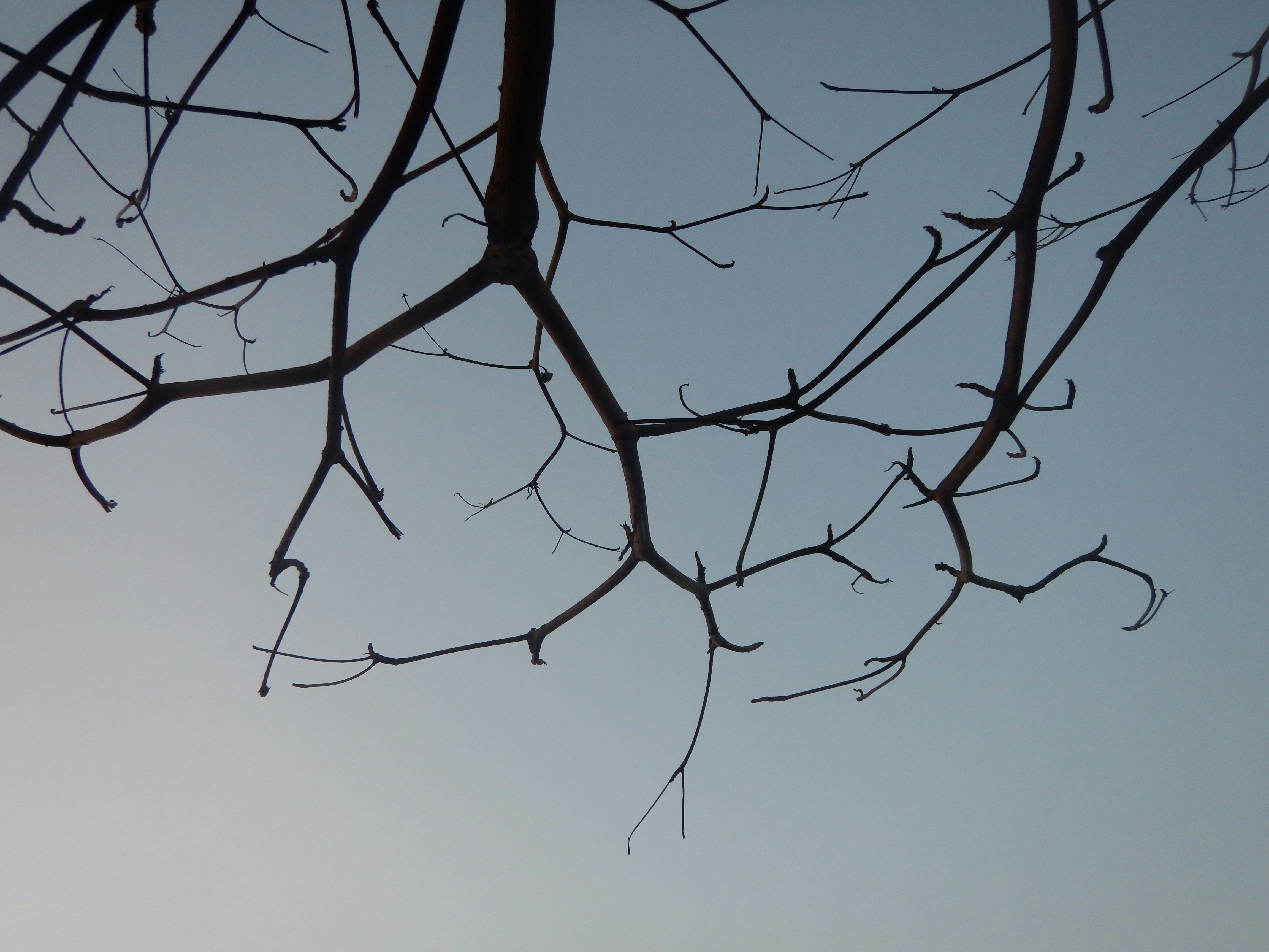 Free Unsplash photo from handqa