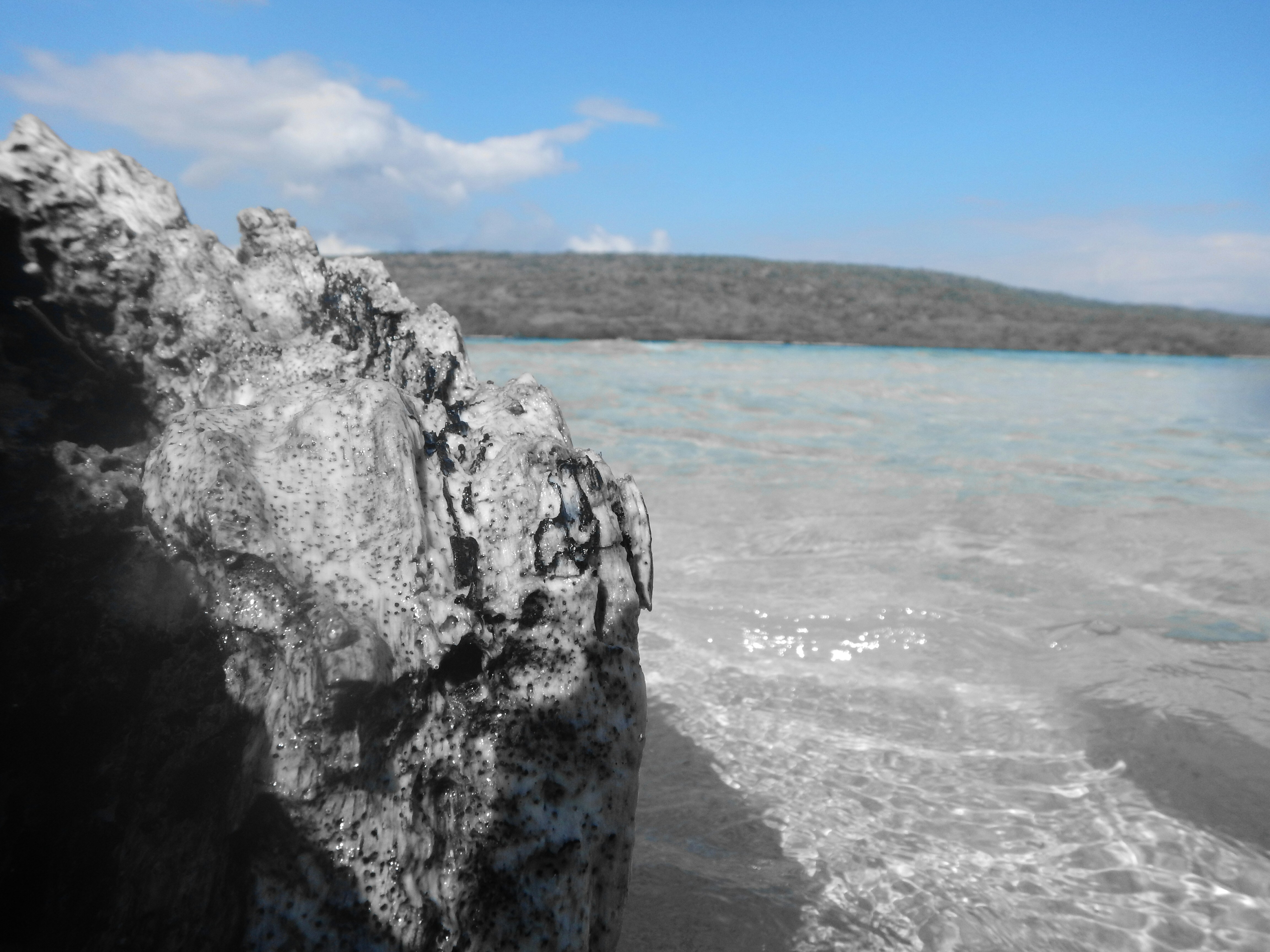 Free Unsplash photo from handqa