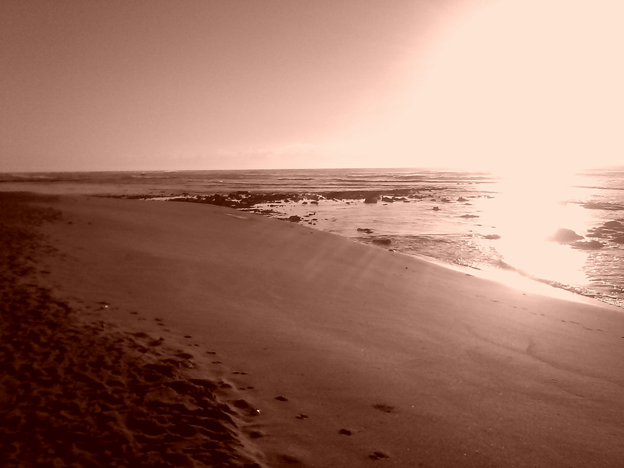 Free Unsplash photo from junior Barbosa