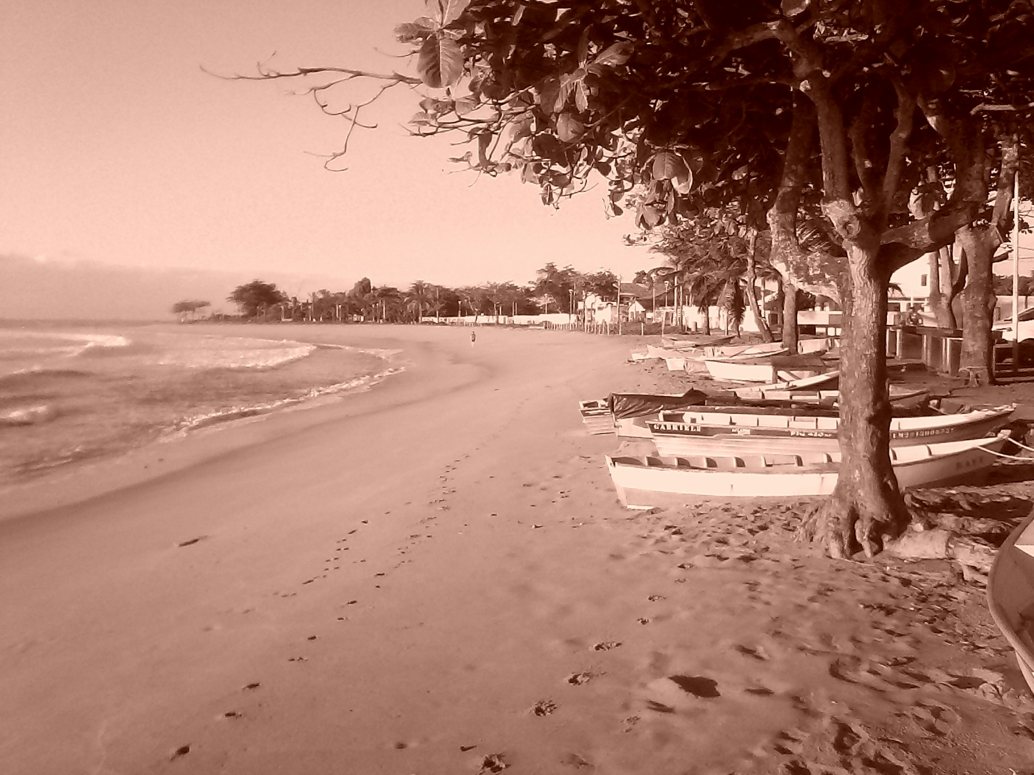 Free Unsplash photo from junior Barbosa