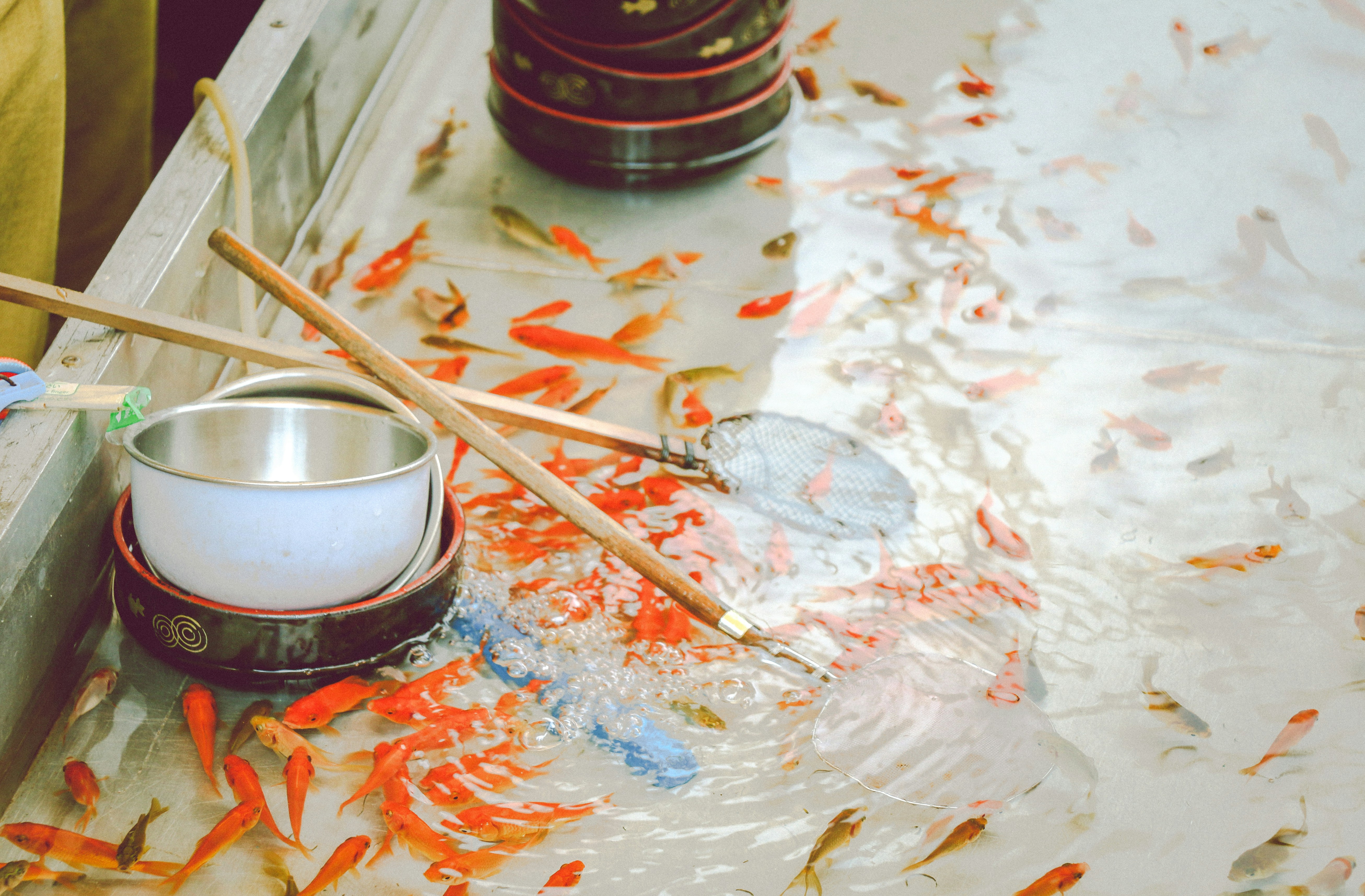 Photo By Eutah Mizushima