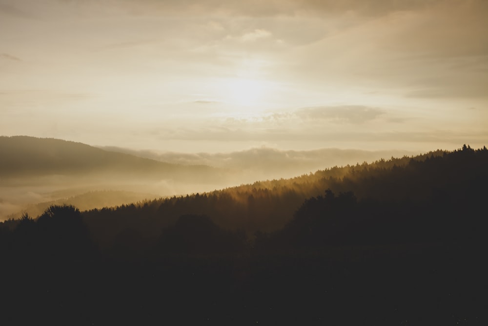 mountains with trees during senset