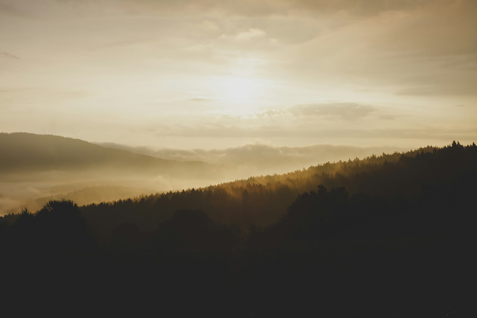 Canon EOS 7D + Canon EF 28mm F1.8 USM sample photo. Mountains with trees during photography