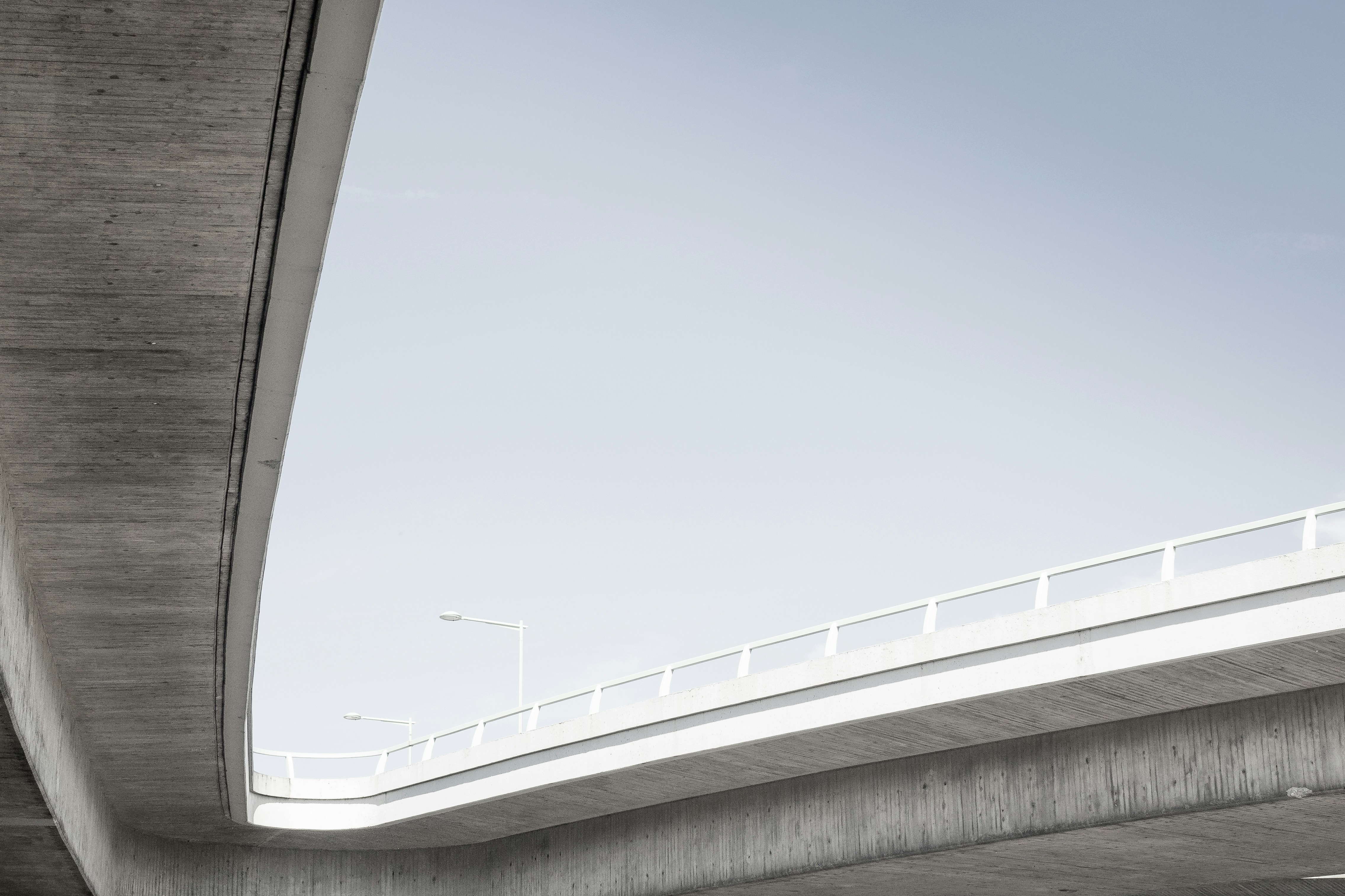 Photo By Liane Metzler