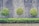Three neatly pruned round trees stand in front of a wall made of stacked stones enclosed in a metal grid. A lush green hedge runs along the base, contrasting with the gray wall background. The scene is structured and tranquil, with the repetitive pattern of the stone wall enhancing the symmetry of the trees.