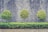 Three neatly pruned round trees stand in front of a wall made of stacked stones enclosed in a metal grid. A lush green hedge runs along the base, contrasting with the gray wall background. The scene is structured and tranquil, with the repetitive pattern of the stone wall enhancing the symmetry of the trees.