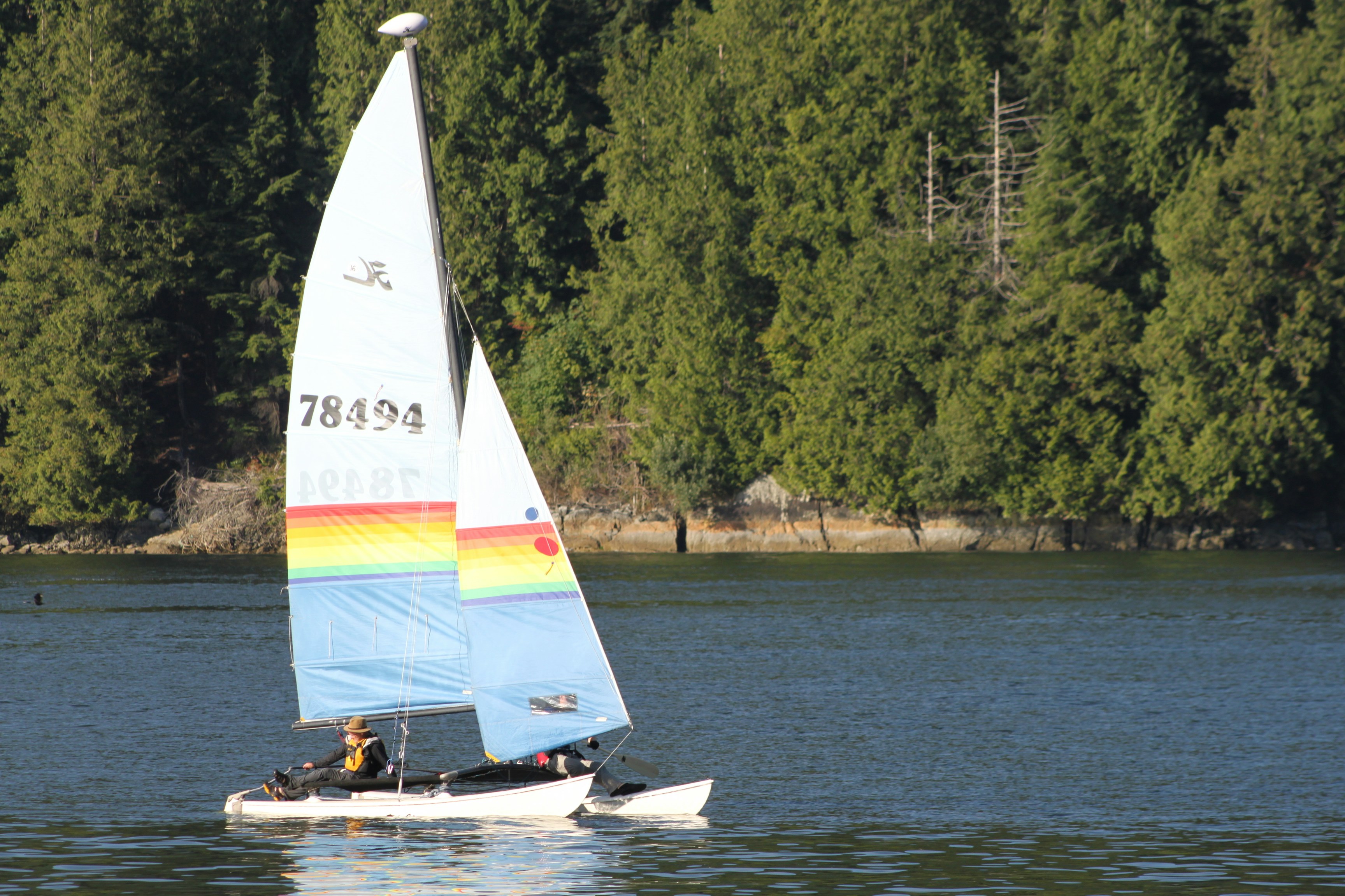 Free Unsplash photo from Mehran Babaee