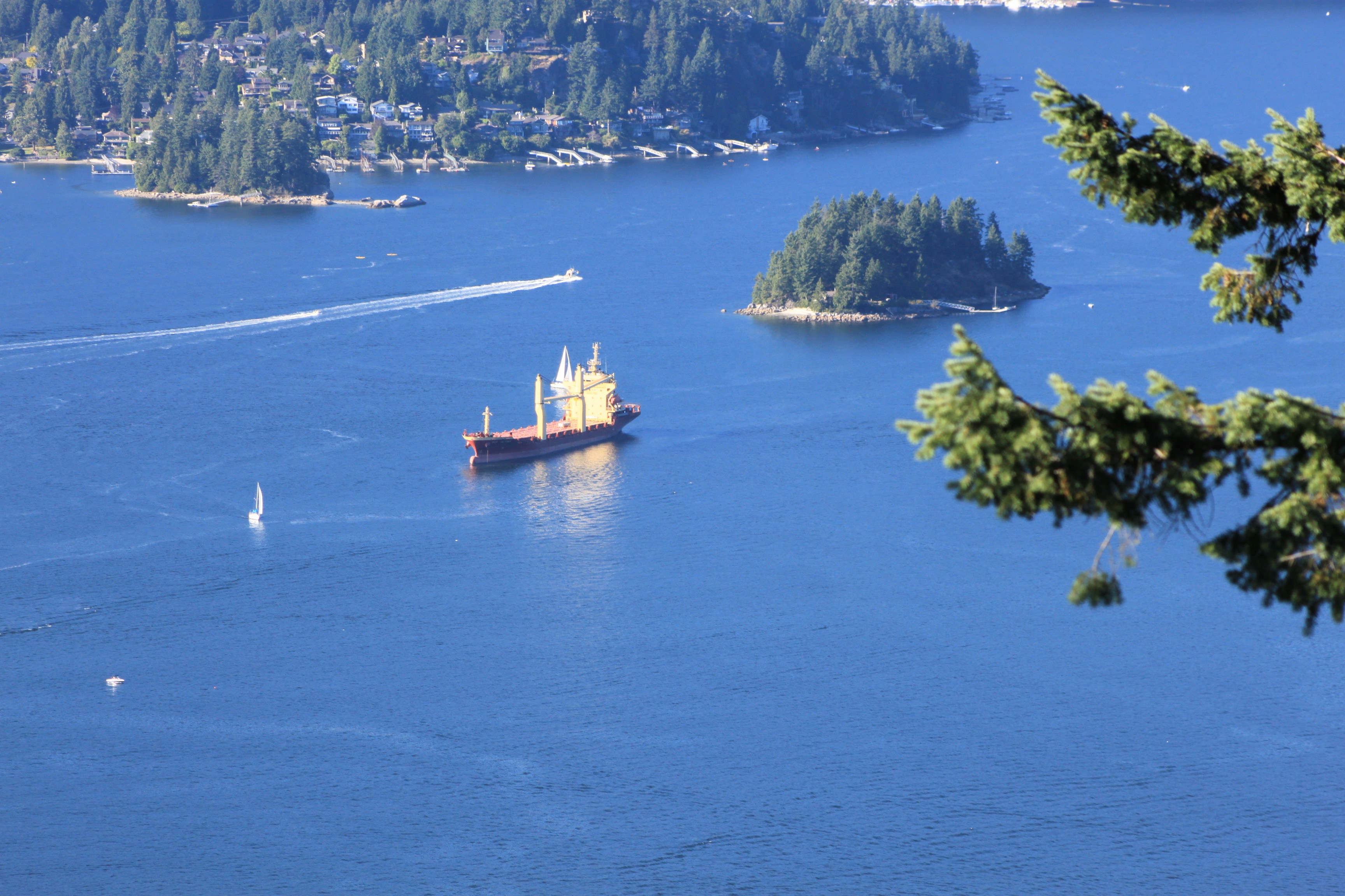 Free Unsplash photo from Mehran Babaee