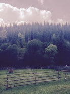 A serene landscape representing personal privacy and security.