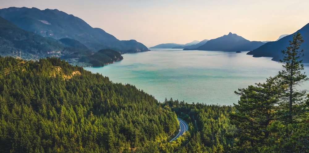 aerial photo of road between trees near body of water