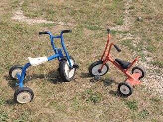 Two tricycles are placed on a grassy area with patches of dirt and stones. One tricycle is blue and the other is red, both have large, sturdy wheels and simple handlebars.